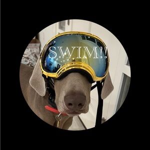 Prices DROPPED on all SWIM! BUNDLE and make OFFERS! 💕💕💕💕🥳🥳🥳 Search Swim!